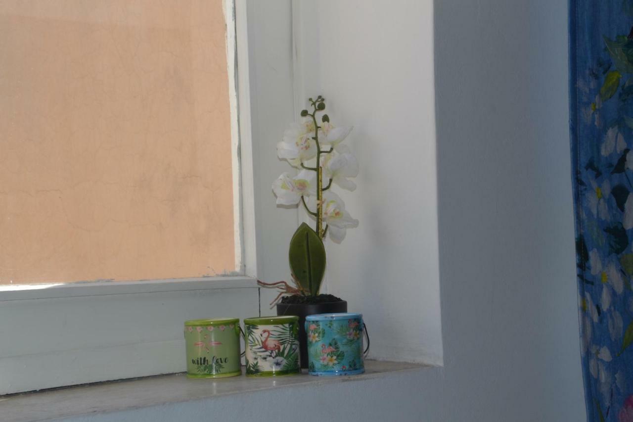 Colosseum Relax Family Apartament 罗马 外观 照片